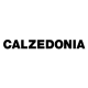 logo calzedonia